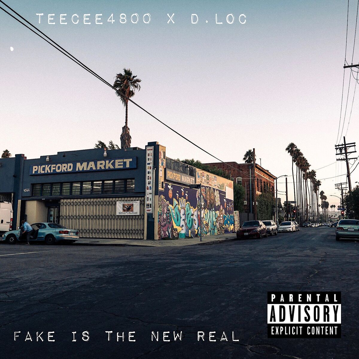 Album cover of Fake Is the New Real