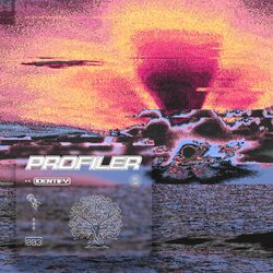 Cover of Identify