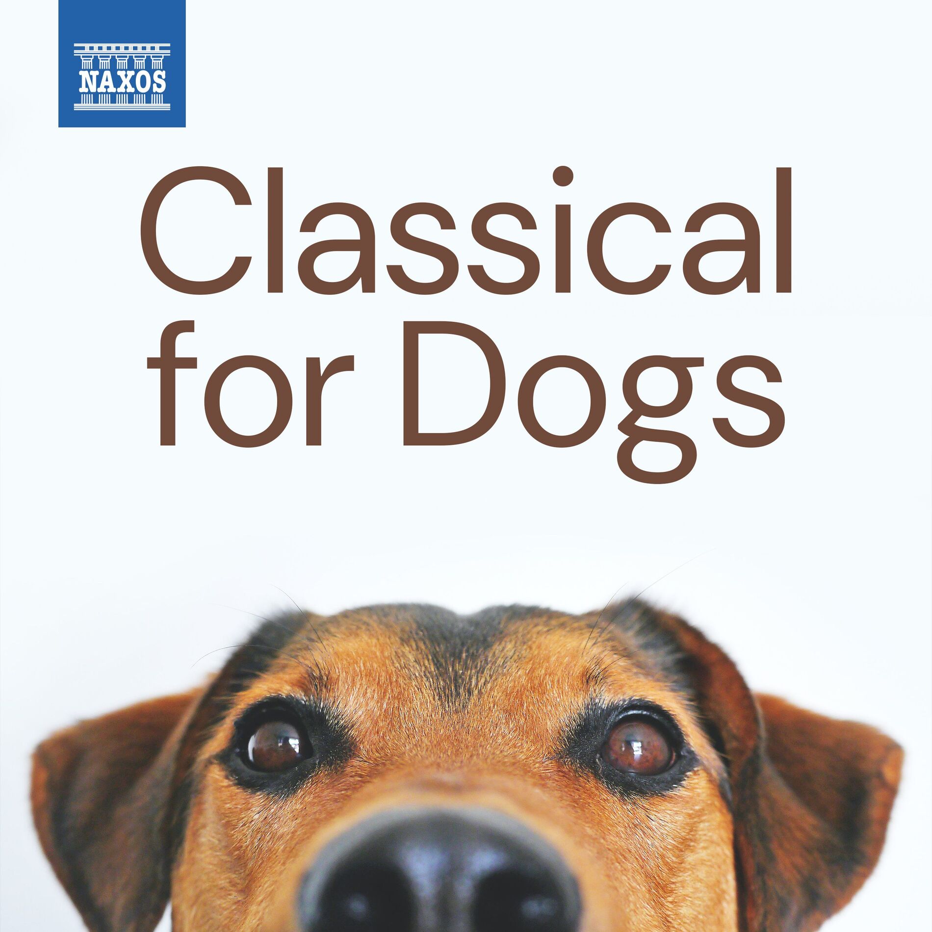 Album cover of Classical for Dogs