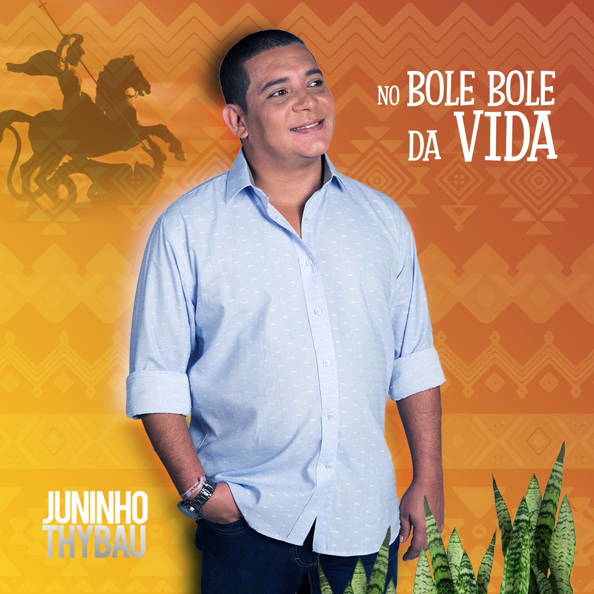 Album cover of No Bole Bole Da Vida