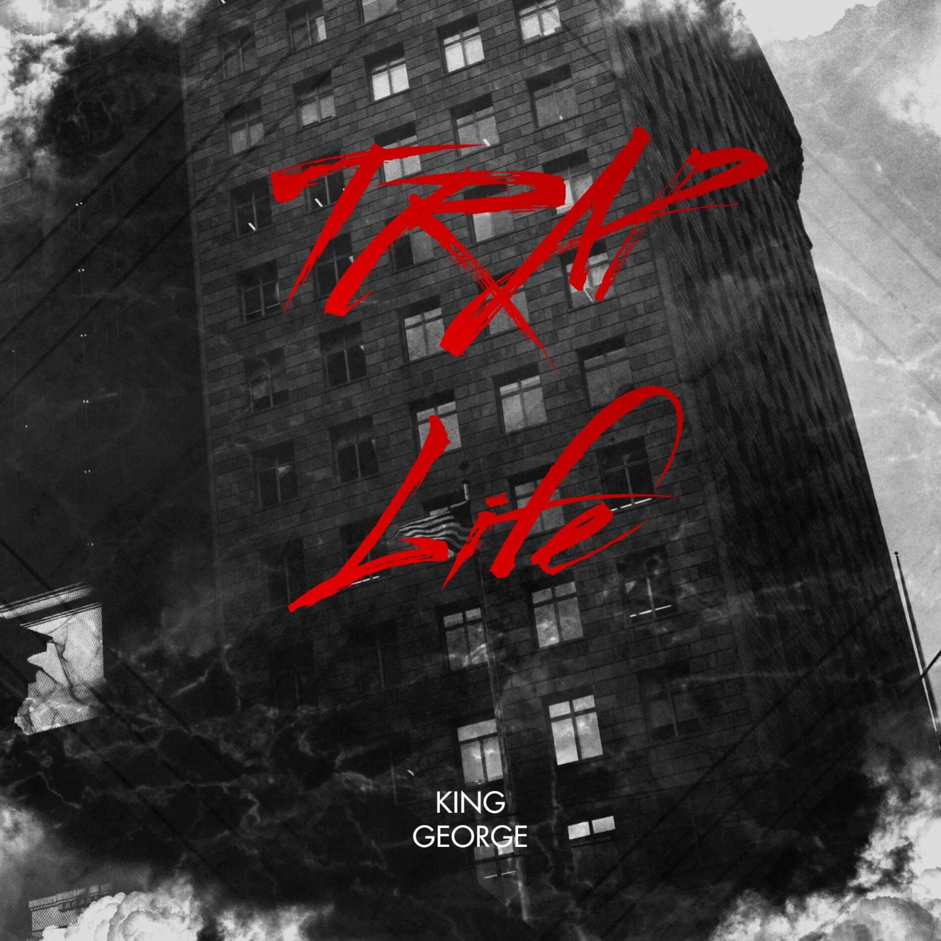Album cover of Trap Life