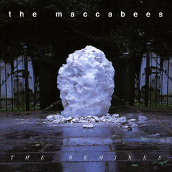 Cover of The Remixes