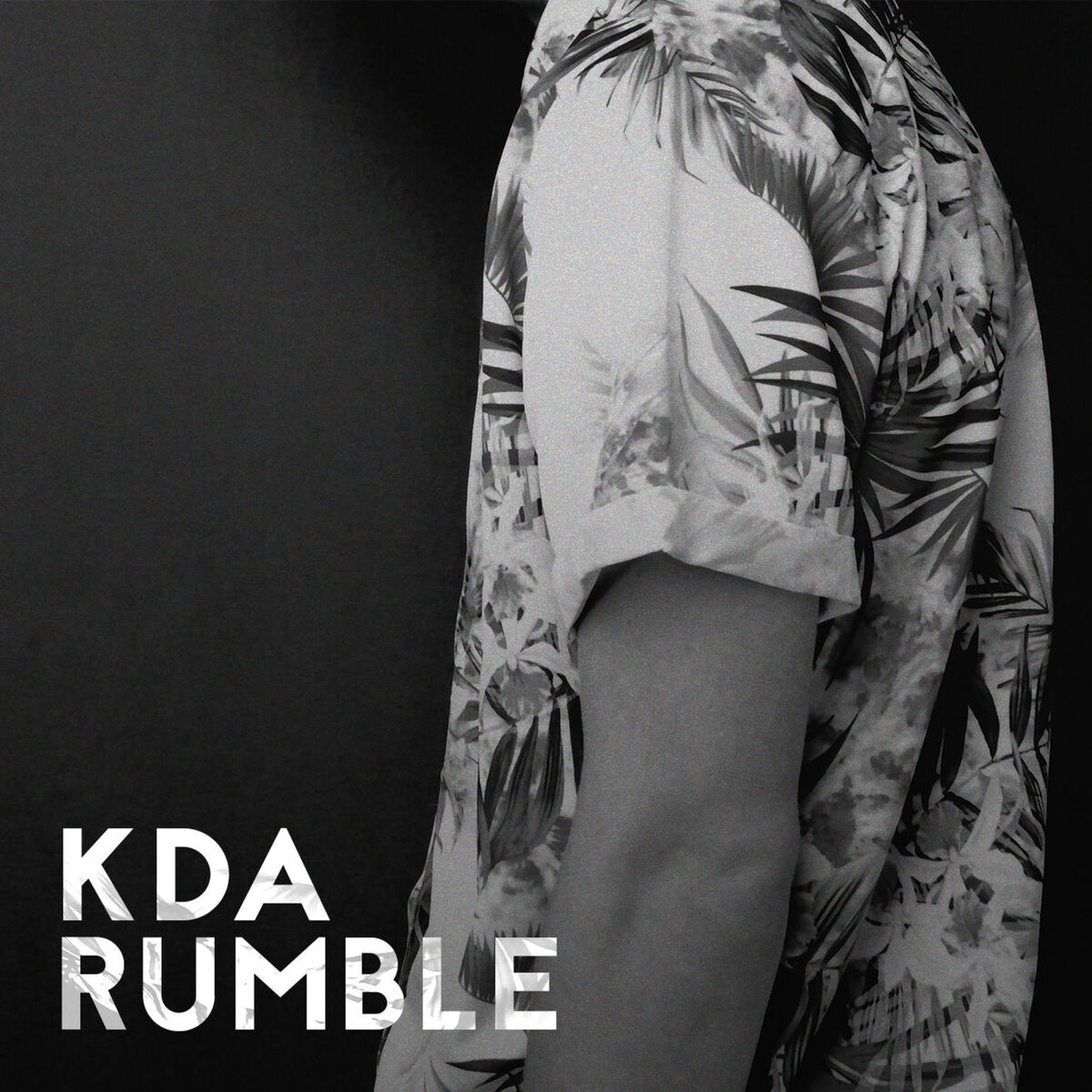 Album cover of Rumble