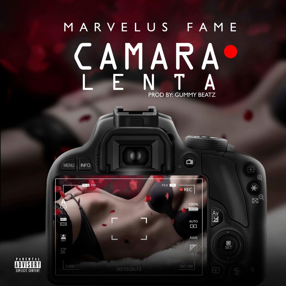 Picture of Camara Lenta