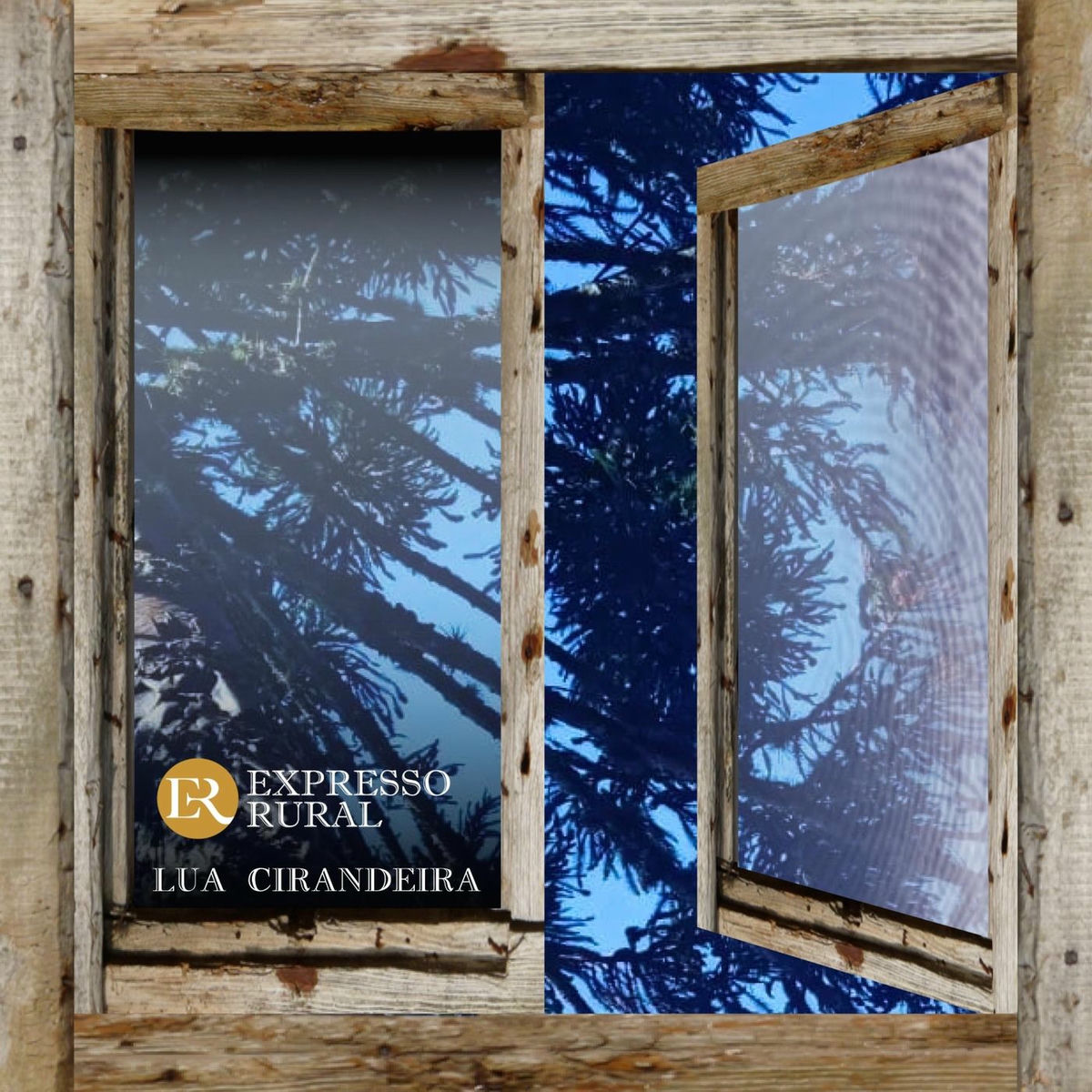 Album cover of Lua Cirandeira