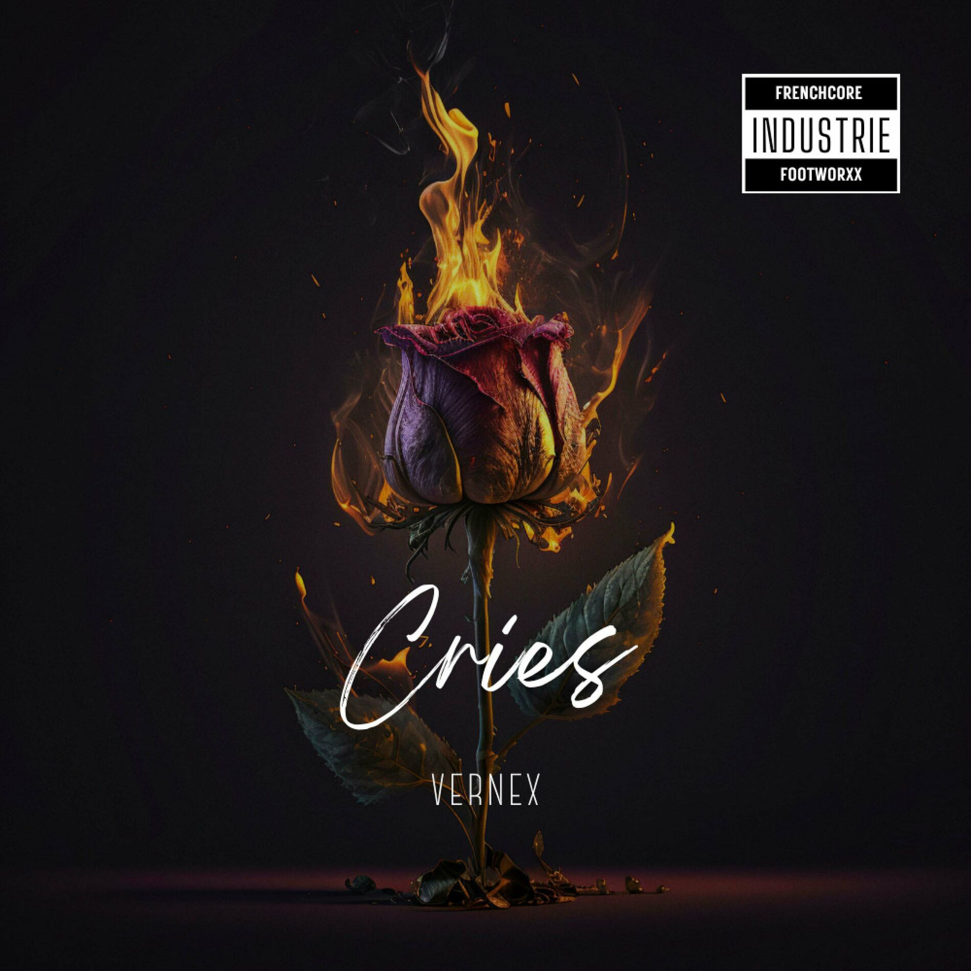 Album cover of Cries