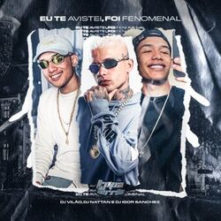 Cover of Mtg - Eu Te Avistei, Foi Fenomenal