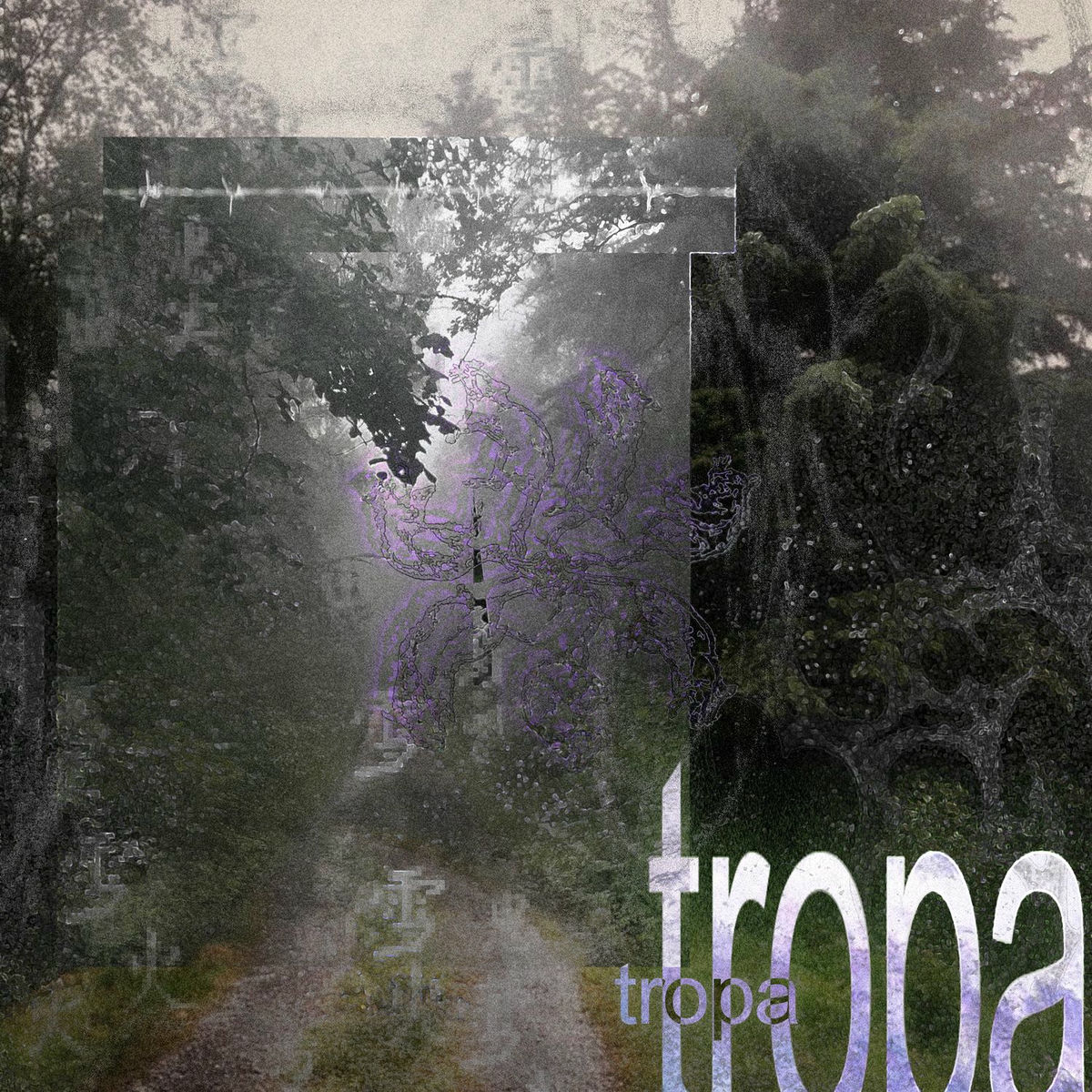 Album cover of tropa tropa