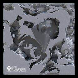 Cover of Exit Fragments