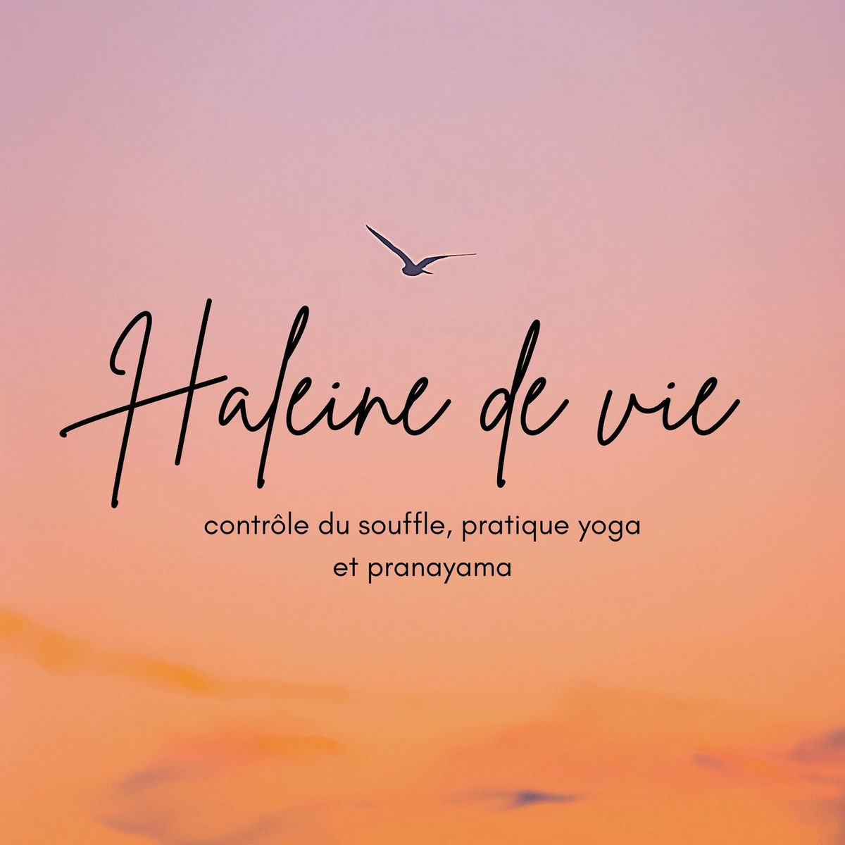 Album cover of Haleine de vie: Musique de fond pour le contrôle du souffle, pratique yoga et pranayama