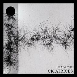 Cover of CICATRICES