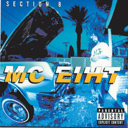 Cover of Section 8