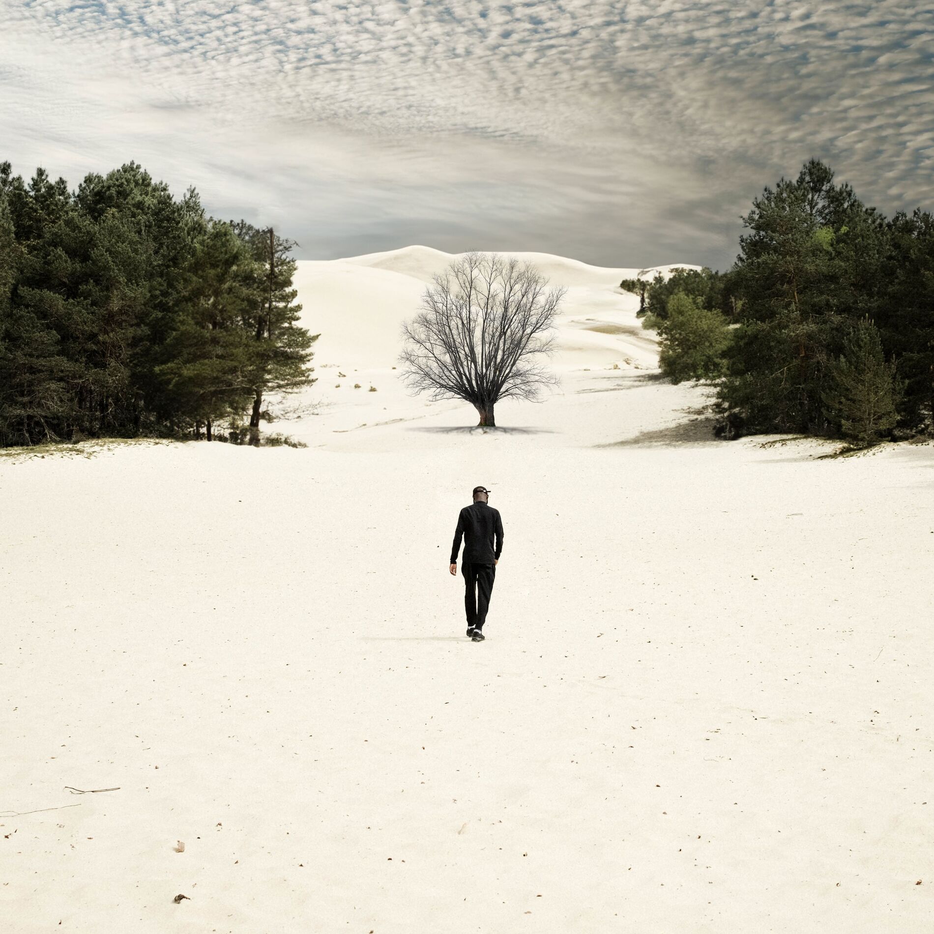 Album cover of Fleur Fanée