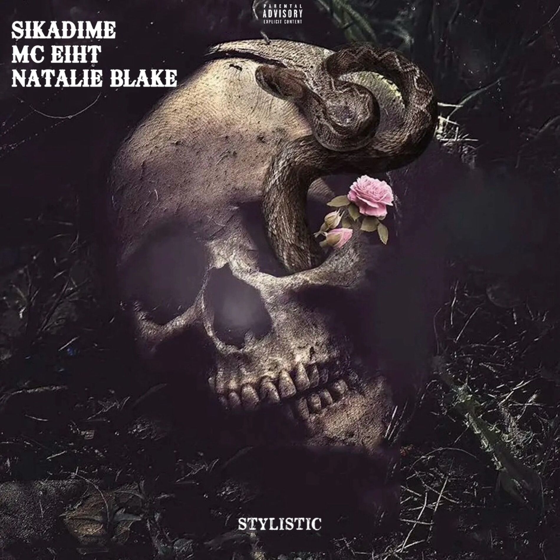 Album cover of Stylistic