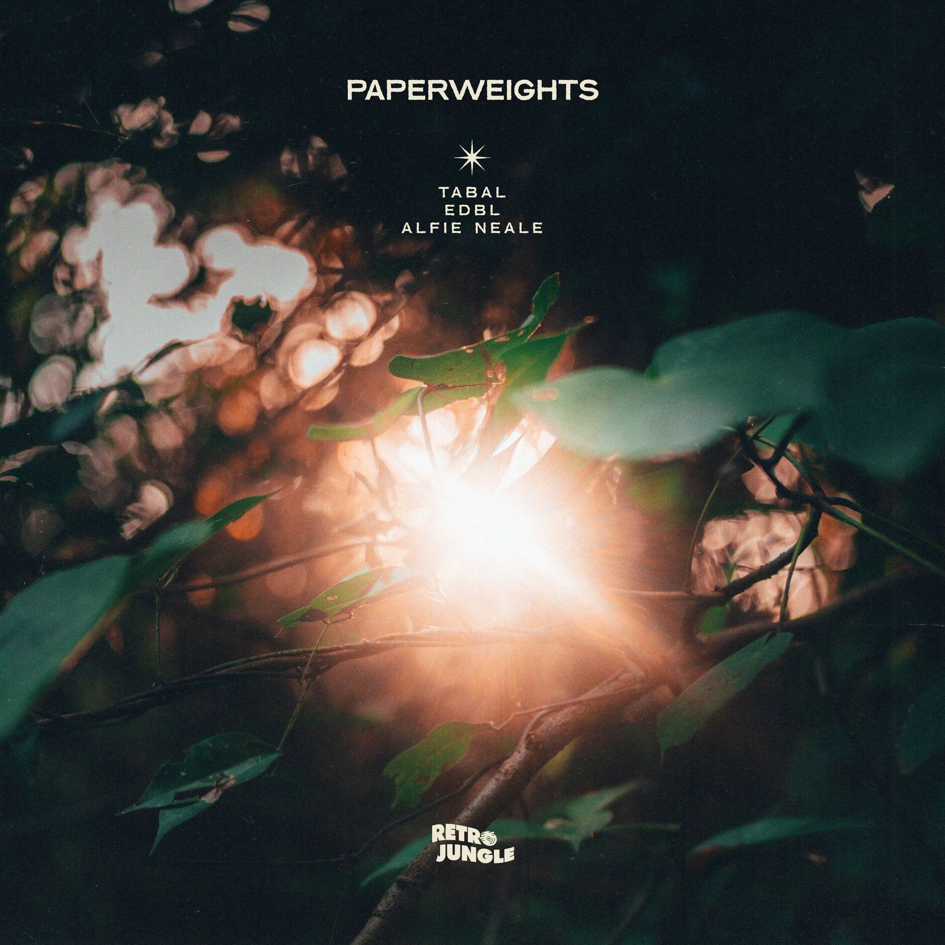 Album cover of Paperweights (feat. Alfie Neale)