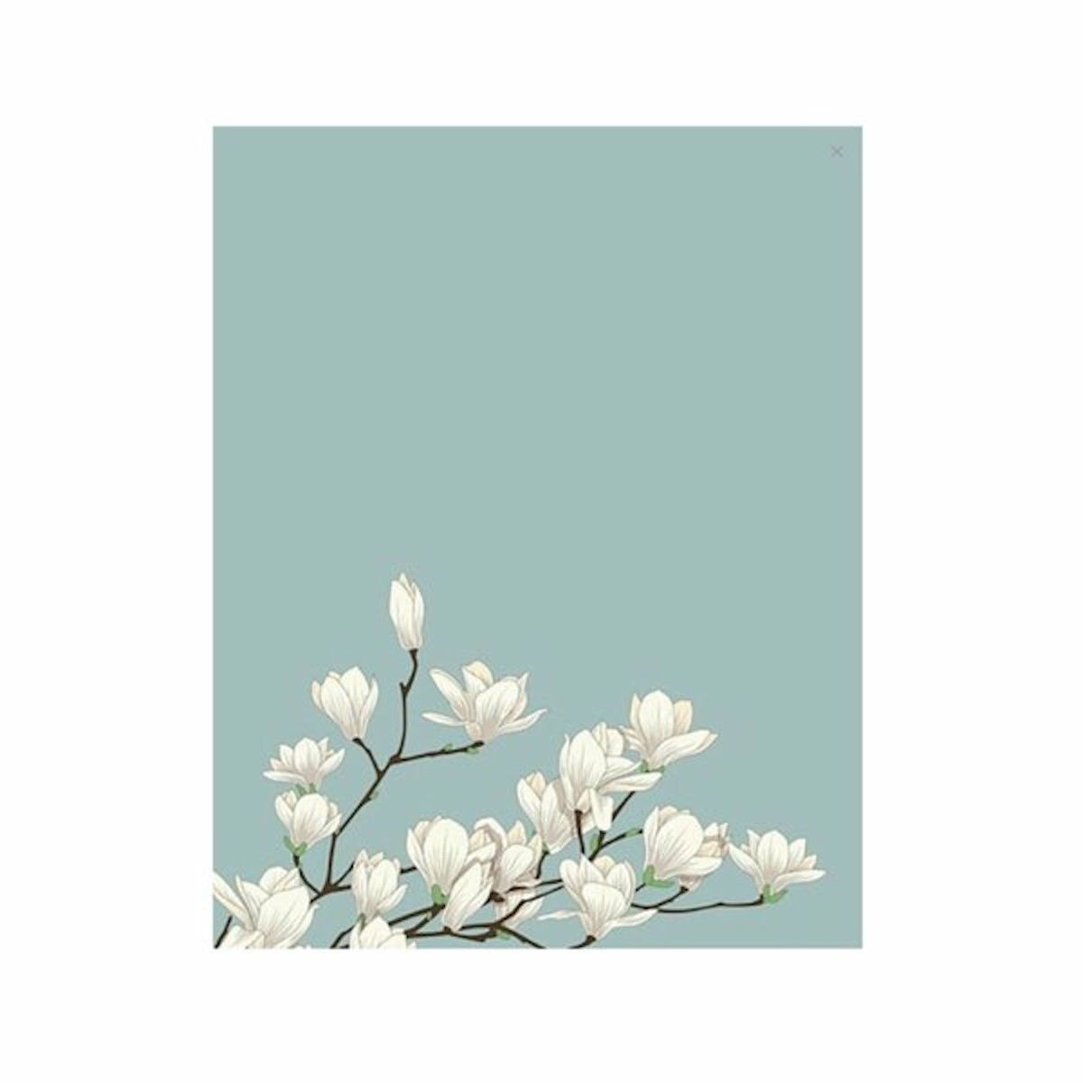 Album cover of Jocelyn Flores