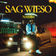sag wieso by Nassim album cover