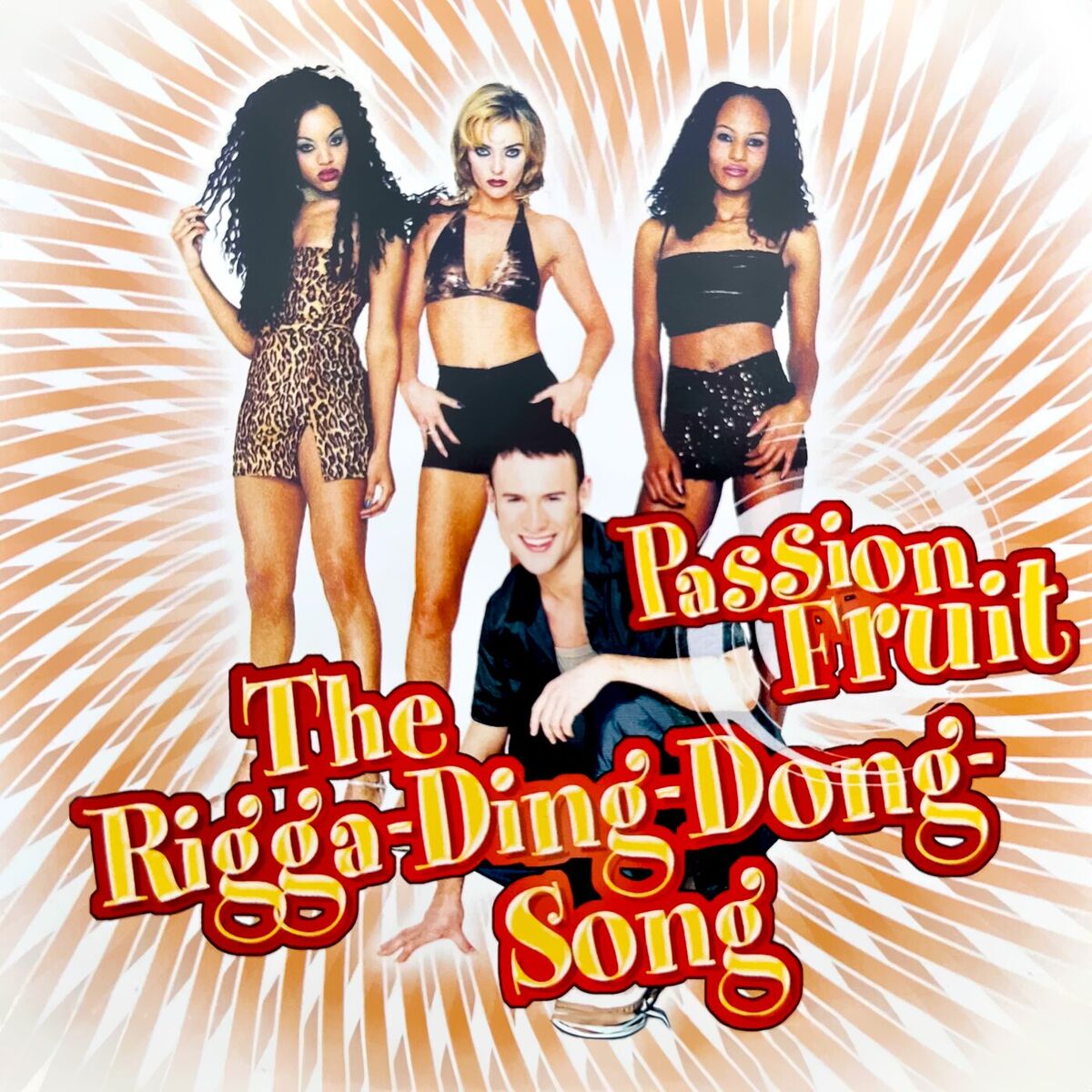 Album cover of The Rigga-Ding-Dong-Song
