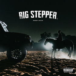 Pochette album