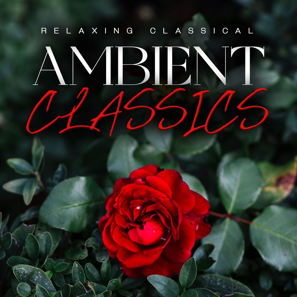 Picture of Ambient Classics