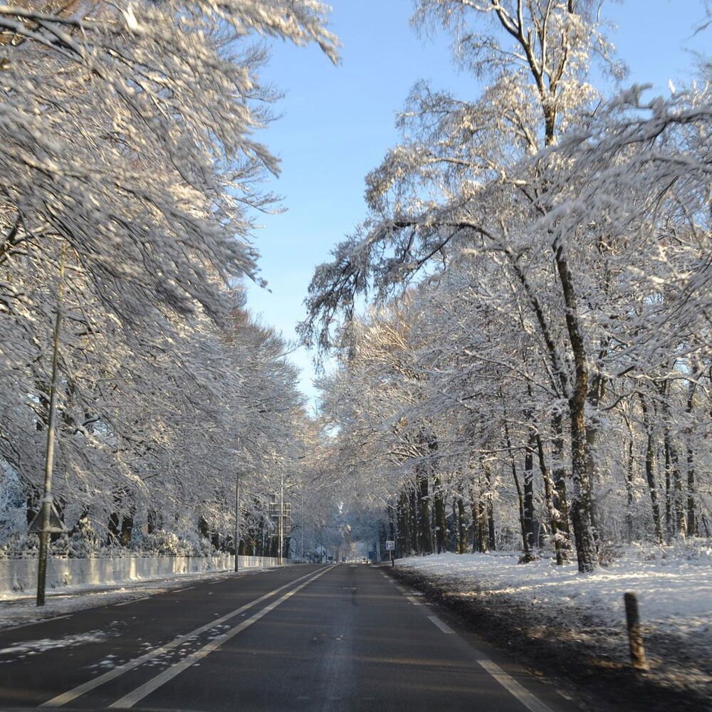 Picture of Winter (instrumental)