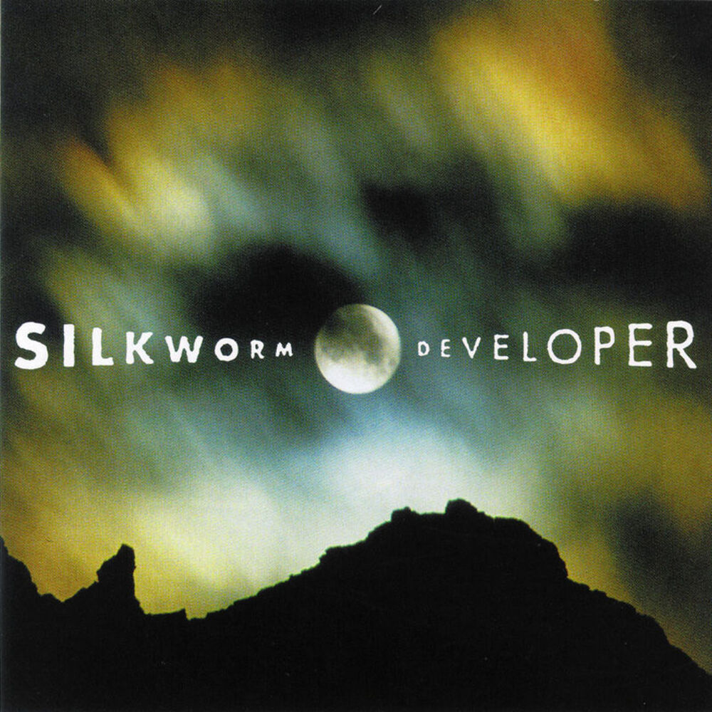 Picture of Developer