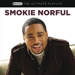 Cover of The Ultimate Playlist