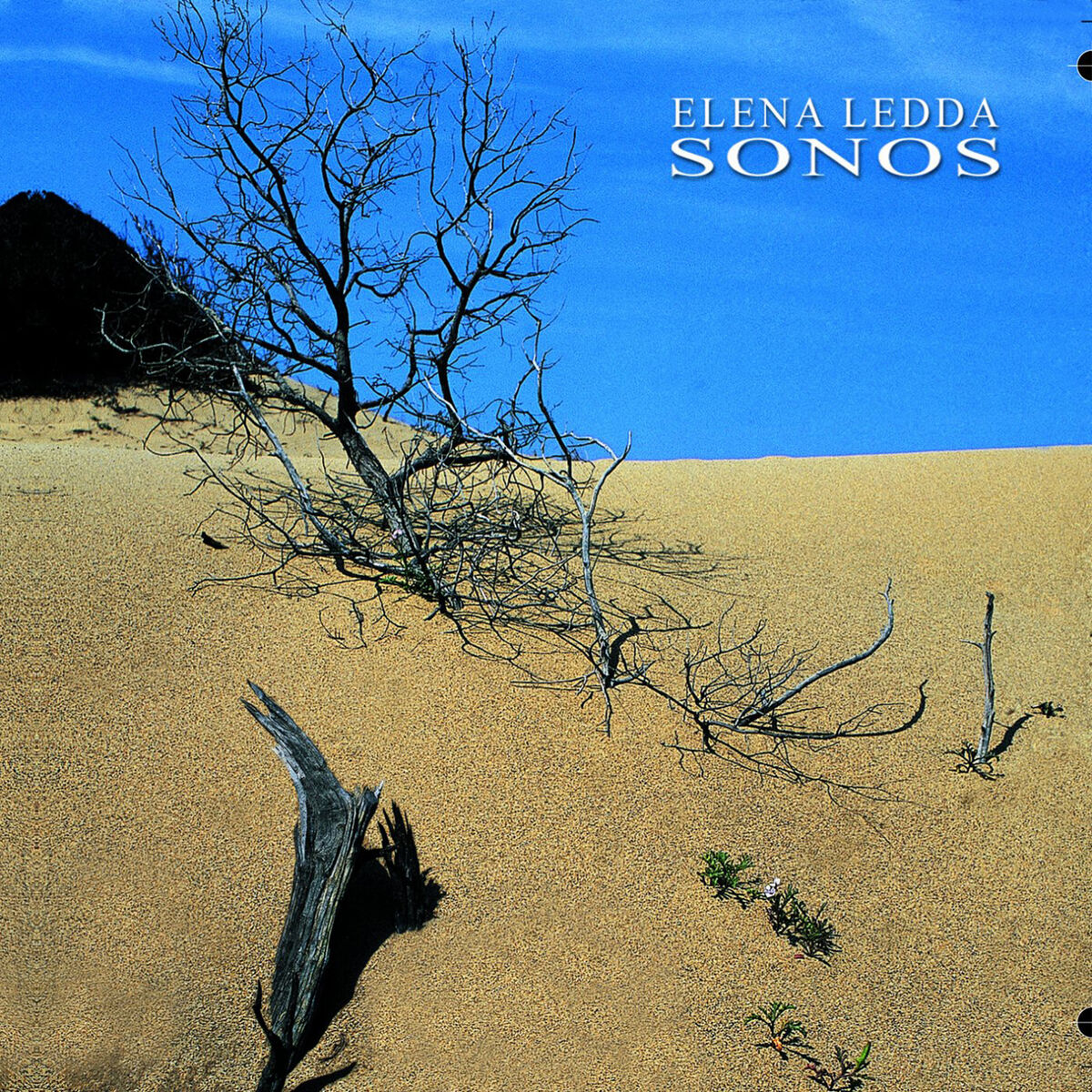 Album cover of Sonos