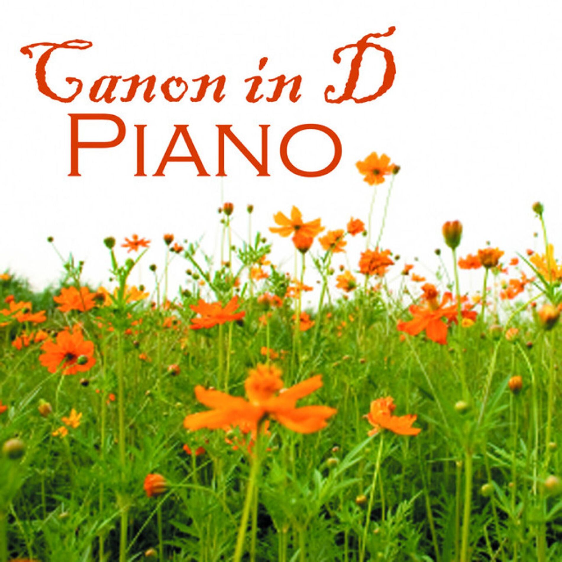 Album cover of Canon in D Piano