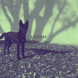 Cover of lethal (Sped Up)