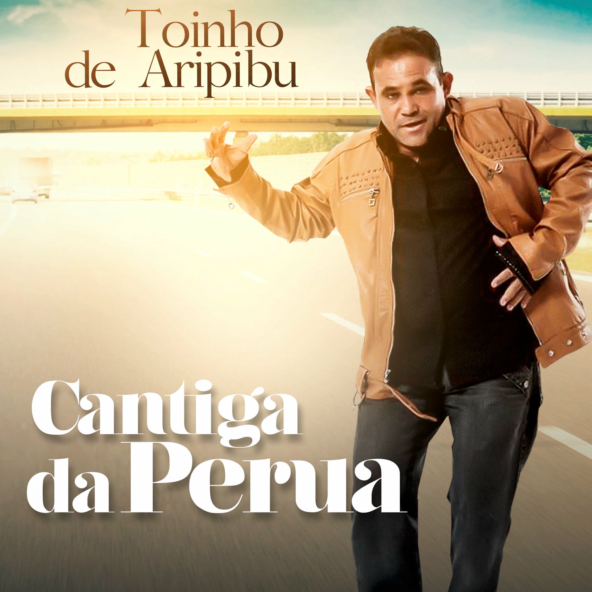 Album cover of Cantiga da Perua