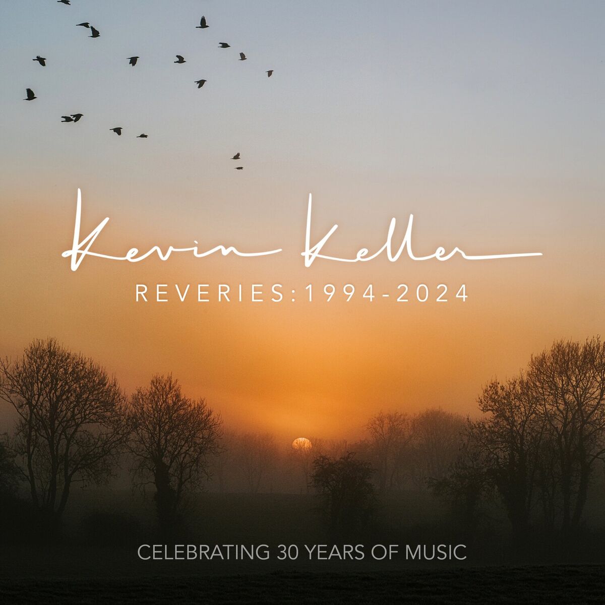Album cover of Reveries: 1994-2024