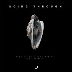 Cover of Going Through