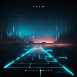 Cover of Night Drive