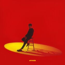 Cover of amnesia