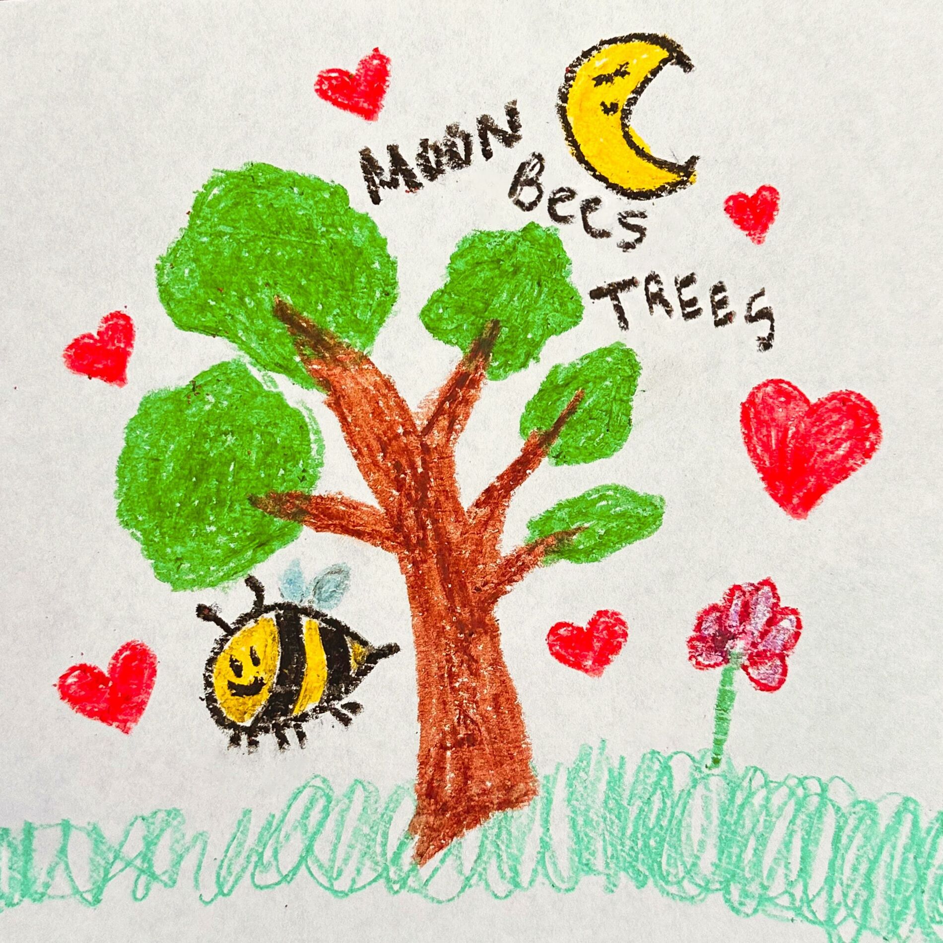 Album cover of Moon Bees Trees