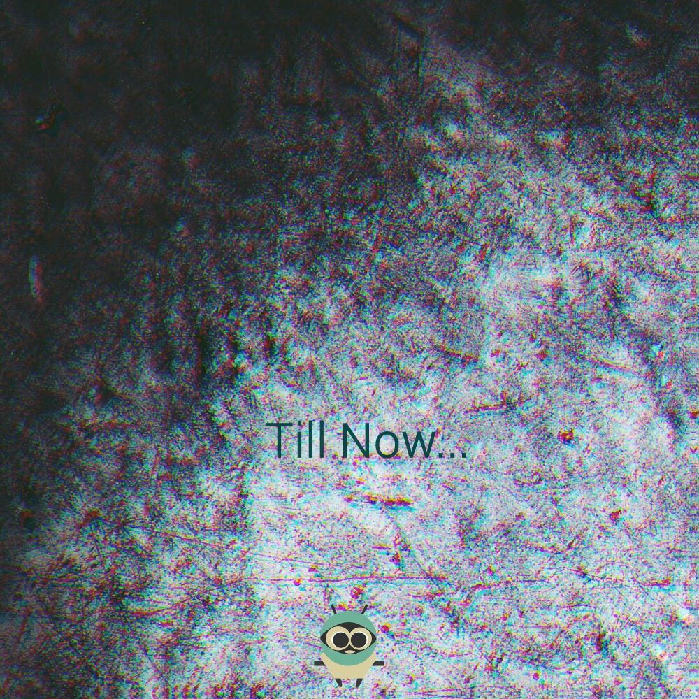Picture of Till Now...