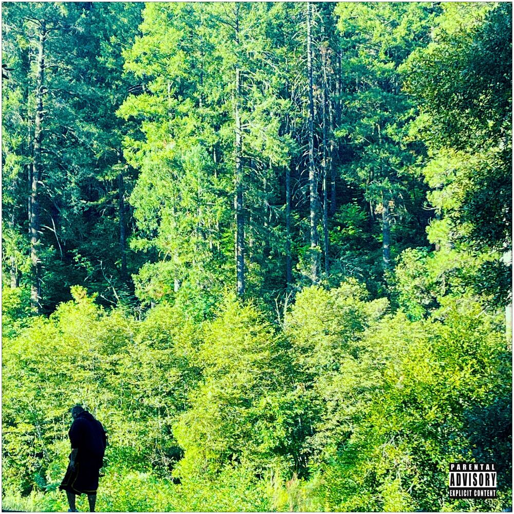Picture of THE GREEN ALBUM