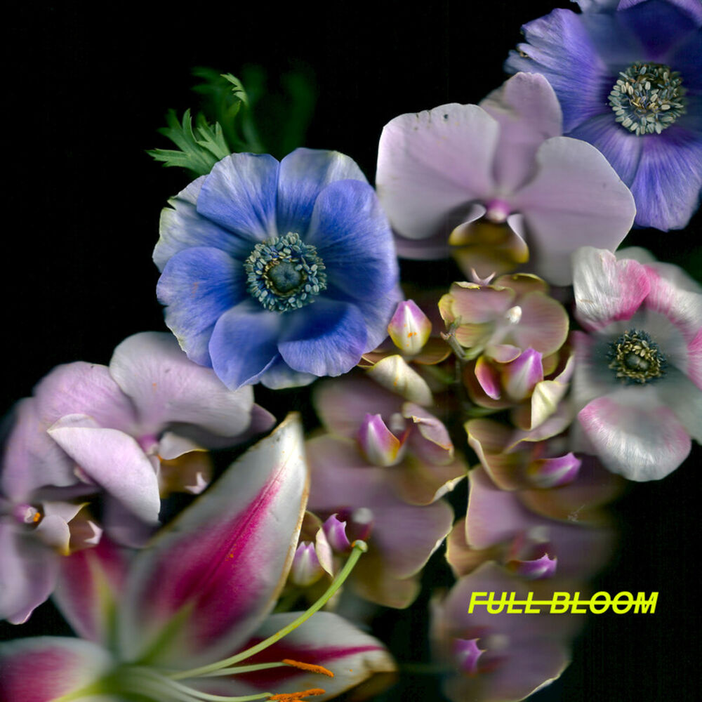 Picture of Full Bloom