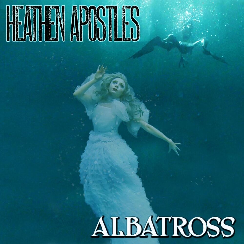 Picture of Albatross