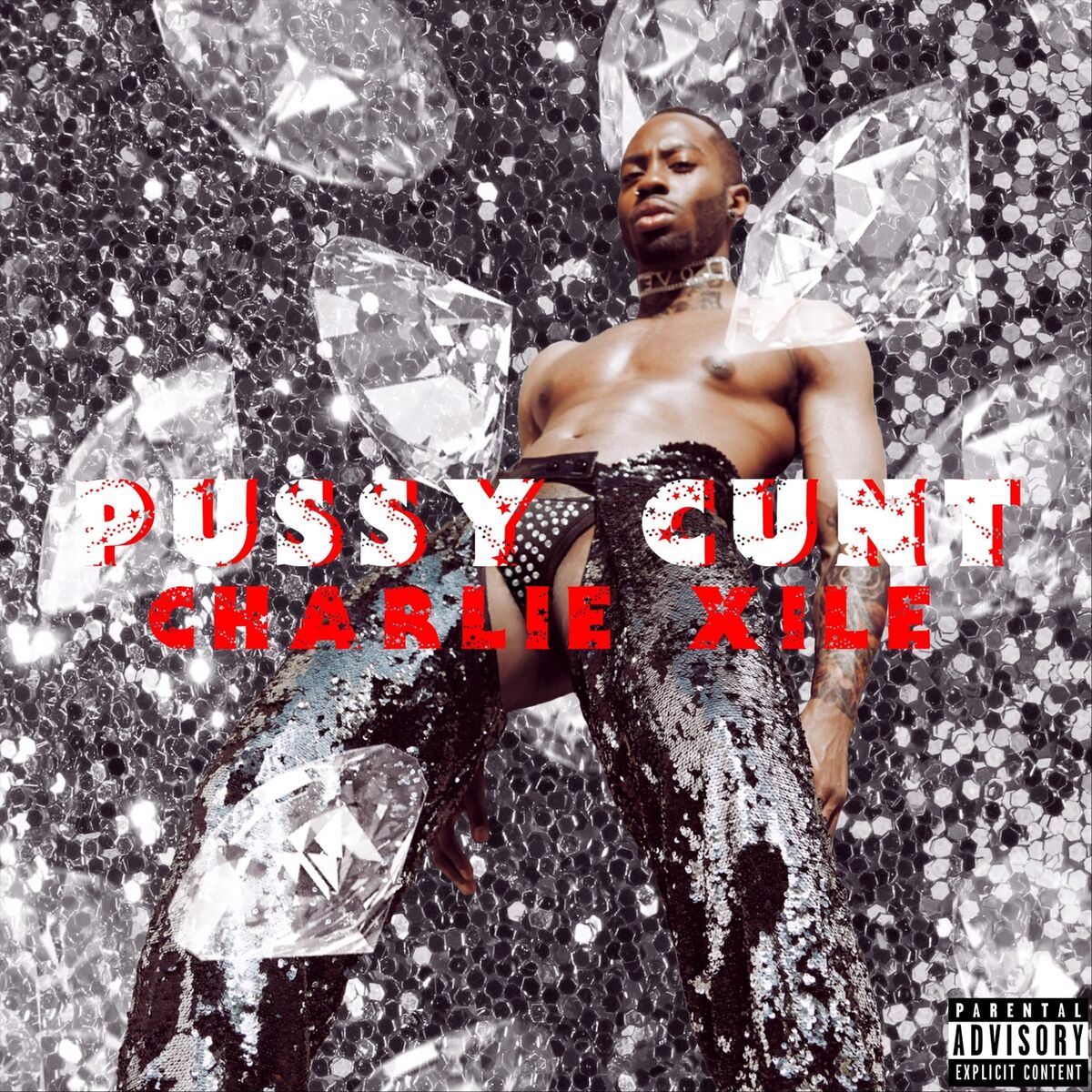 Album cover of Pussy Cunt
