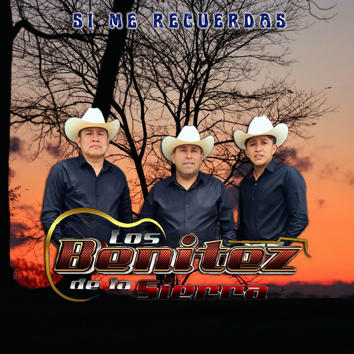 Album cover of Si Me Recuerdas