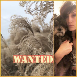 Cover of Wanted