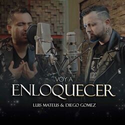 Cover of Voy a Enloquecer