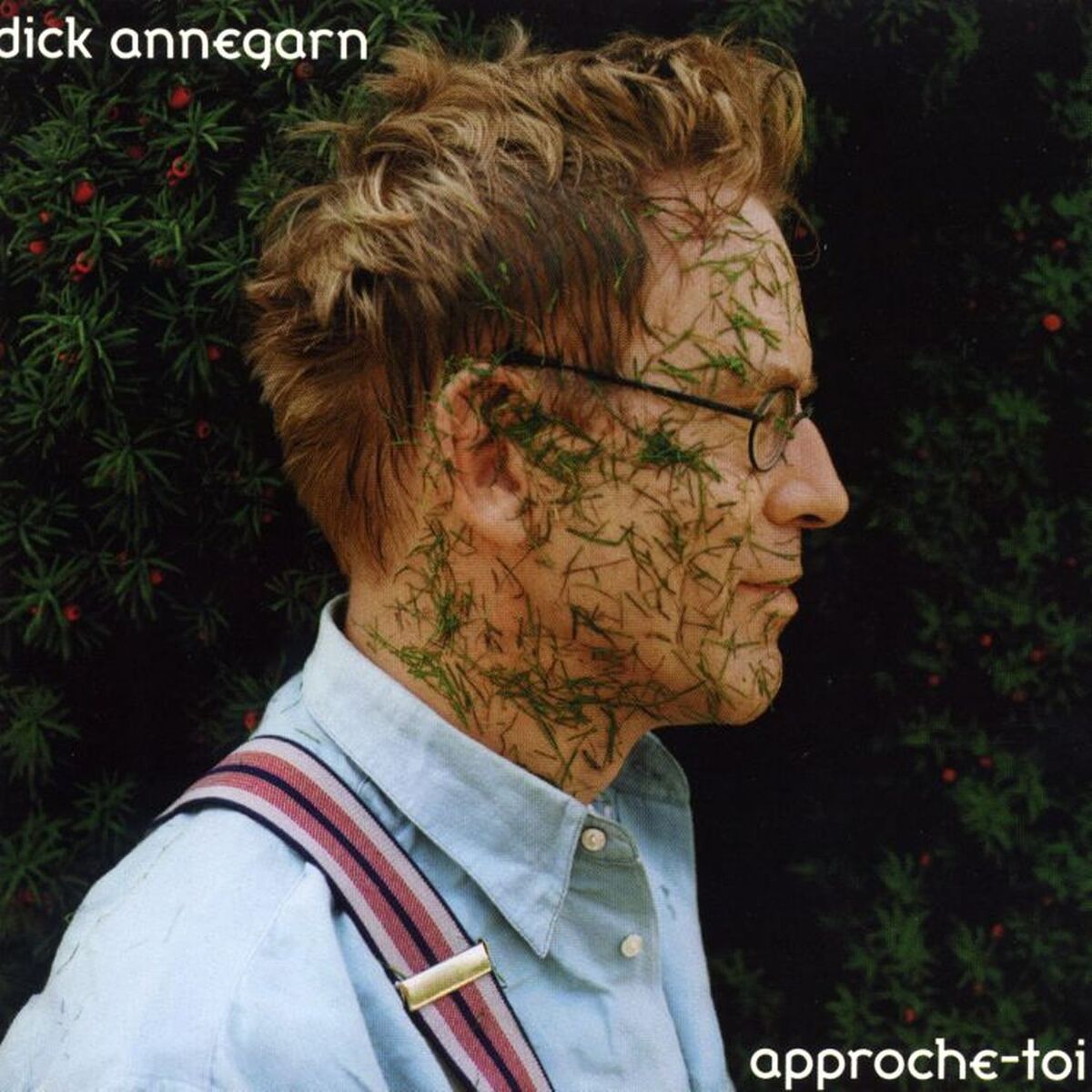Album cover of Les Tchèques