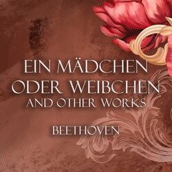 Cover of 'Ein Mädchen oder Weibchen' Variations and other works - Beethoven