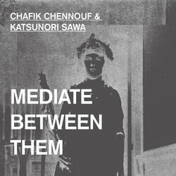 Cover of Mediate Between Them