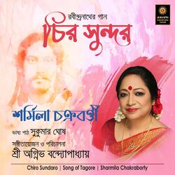 Cover of Chiro Sundaro