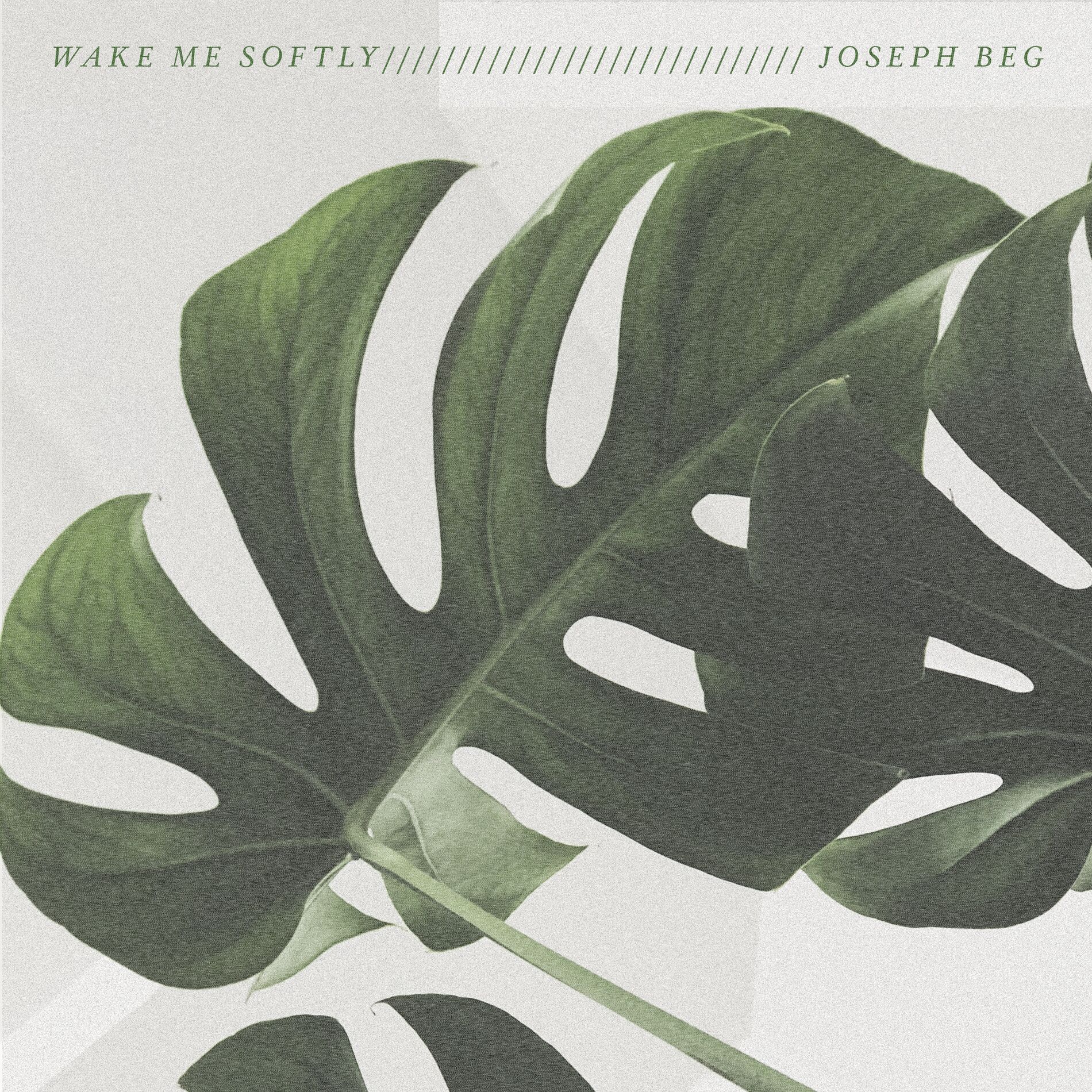 Album cover of Wake Me Softly