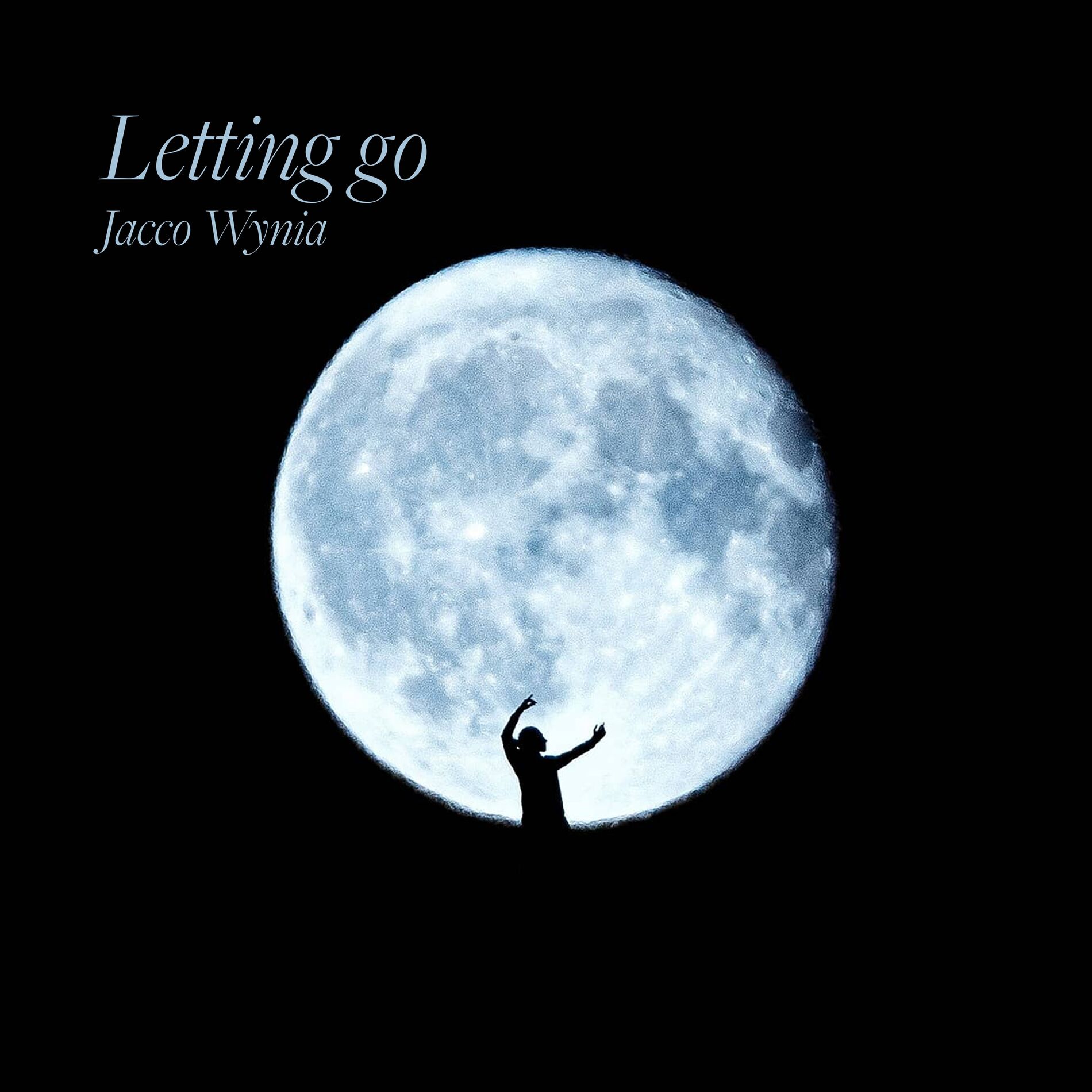 Album cover of Letting go